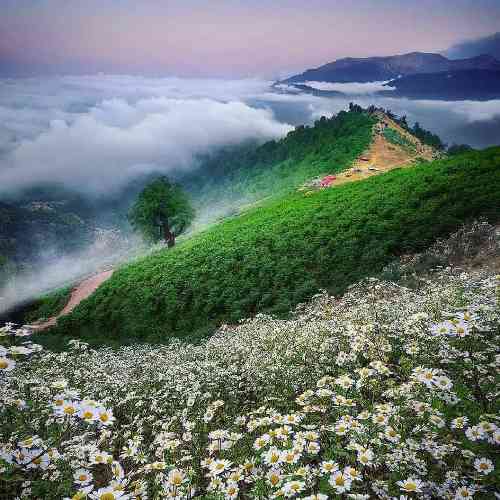 حسین آفرین گفتی که ستاره میشوم برسر بامت هر دفعه چشمک میزنم